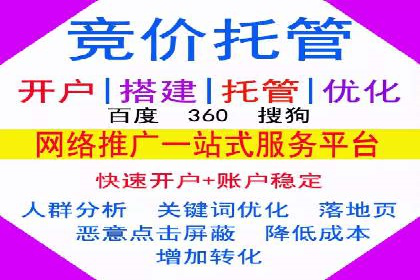 SEM推广实战：案例分析与优化